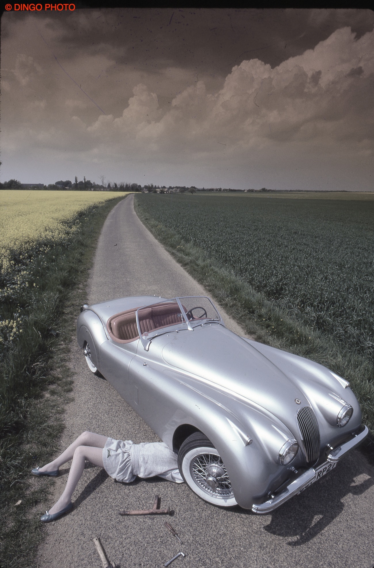 dingophoto Jaguar XK 120