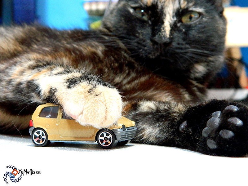 Télécharger gratuitement Images La Renault Twingo Deja Un Mythe Charlotteauvolant actualisé salutations