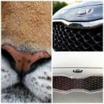 Etude Volvo : les hommes plus sensibles au design d’une voiture qu’à un bébé en pleurs