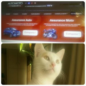Assurance moto