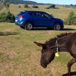 Hyundai Tucson : ce qu’il a (encore) de plus que les autres IX35