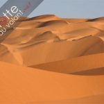 Après la Manche à la nage, Philippe Croizon s’attaque au Dakar