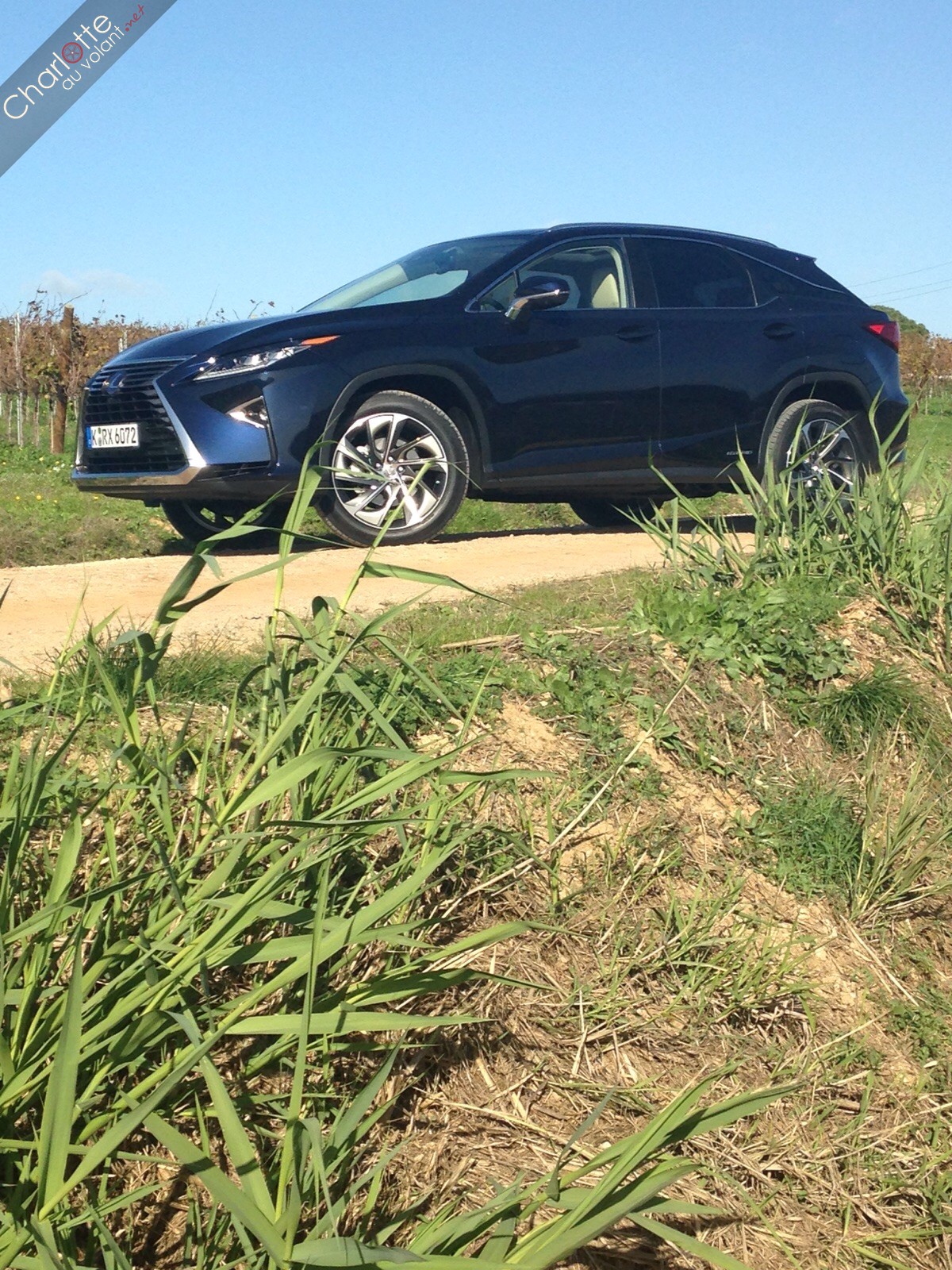 essai Lexus RX 450h (2015) RX 450h